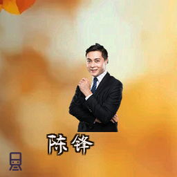 陈锋